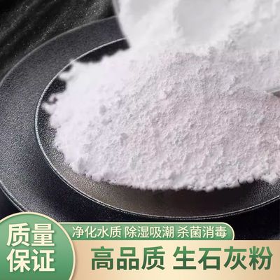 生石灰粉10斤干燥杀菌消毒除湿防