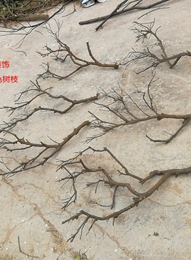干树枝去皮原木树干枯树枝带分枝带杈树枝室内挂灯干花插花瓶装饰