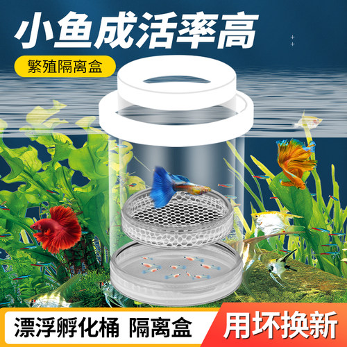 小型鱼缸孵化隔离繁殖盒