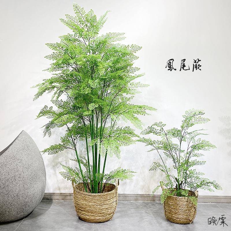 蕨草落地凤尾树假绿植物盆栽景室内原始自然森系庭院阳台装饰