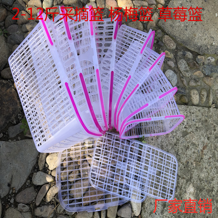 塑料水果采摘篮手提带盖杨梅篮方形葡萄篮子草莓果蔬便携式果盘
