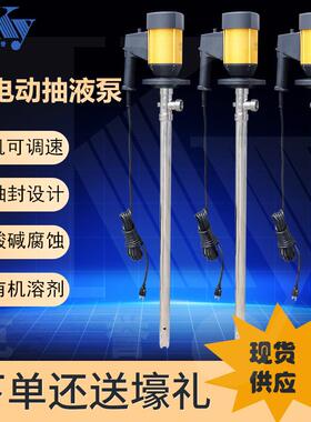 耐酸碱电动抽液泵插桶泵防腐油桶泵HD-E2-V+SS304-1500自吸泵