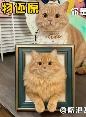 欧泡羊毛毡宠物定制玩偶戳戳乐diy成品相框礼物猫咪狗狗离世纪念