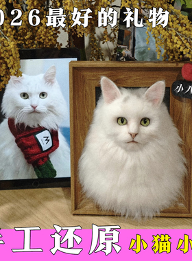 高级毡毛师李娜宠物还原来图定制