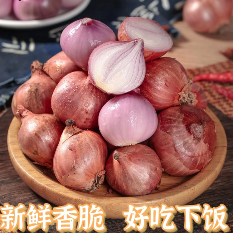 东北黑龙江特产紫皮毛葱新鲜现挖洋葱/红葱头