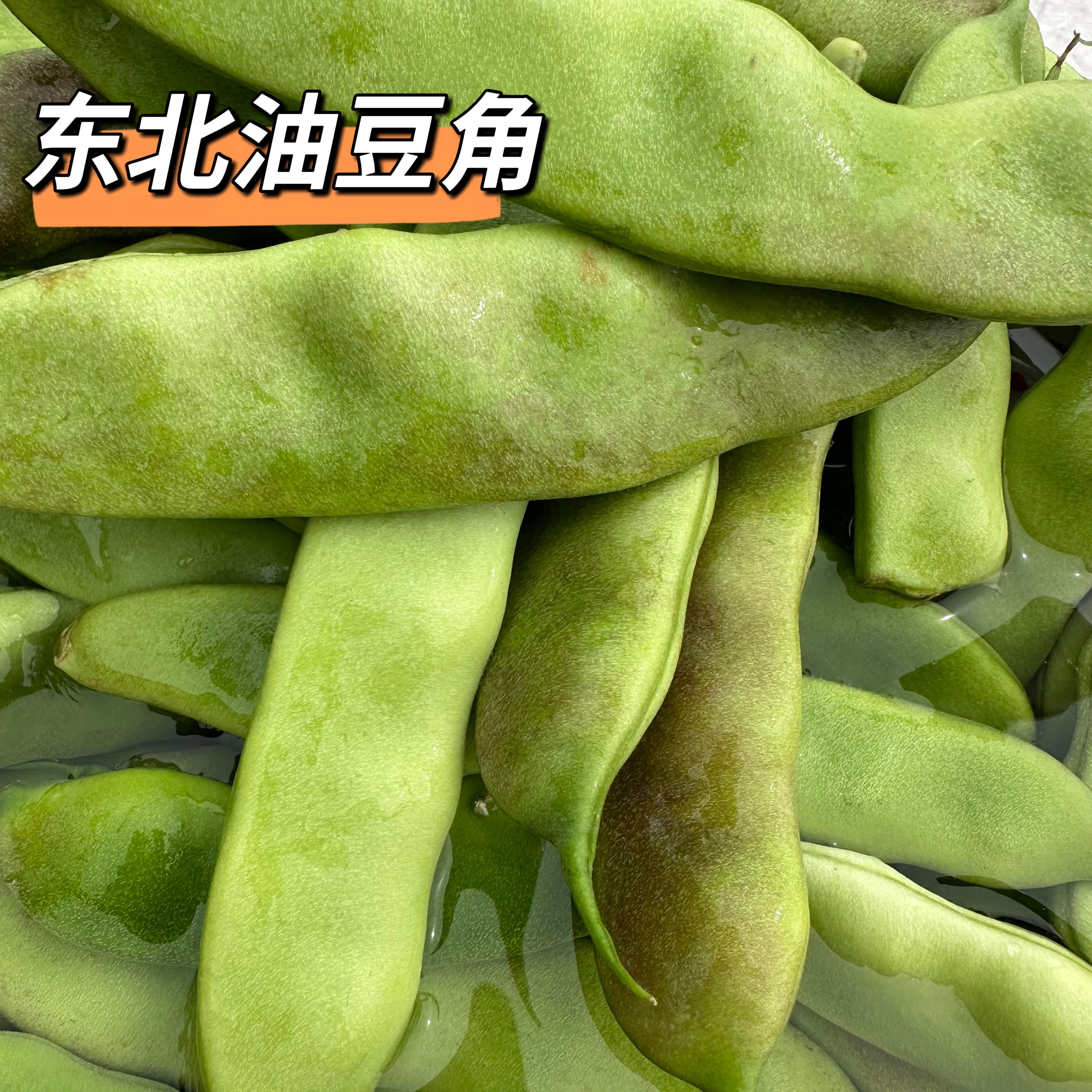 东北油豆角现摘新鲜正宗无筋当季农家油豆蔬菜
