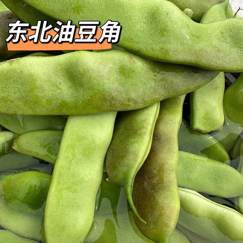 东北紫花油豆角现摘新鲜正宗无筋当季农家油豆蔬菜