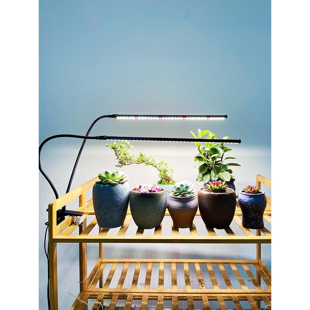 喜浪多肉补光防徒灯定时功能夹子款上色全光谱LED盆栽植物生长灯