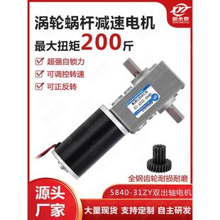 31ZYS微型涡轮蜗杆直流减速电机低速调速小马达12v24v双出轴 5840