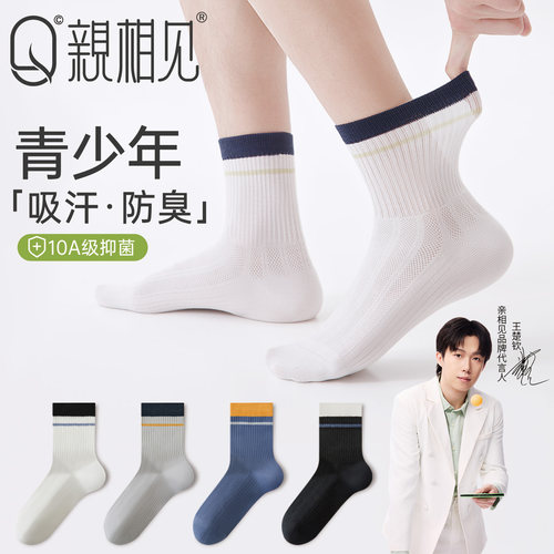 袜子男100%棉薄款透气吸汗中筒袜