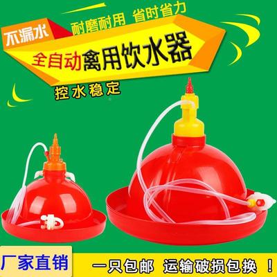 包邮加厚养鸡鸭鹅饮水器 养鸡饮水器 鸡喂水器鸡加水壶 养鸡设备