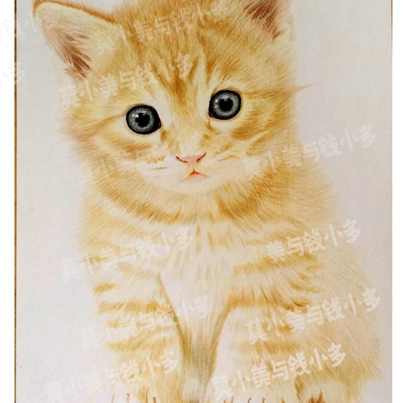 手绘素描定制彩色铅p笔萌宠宠物画像动物画肖像彩铅装饰画挂画图片