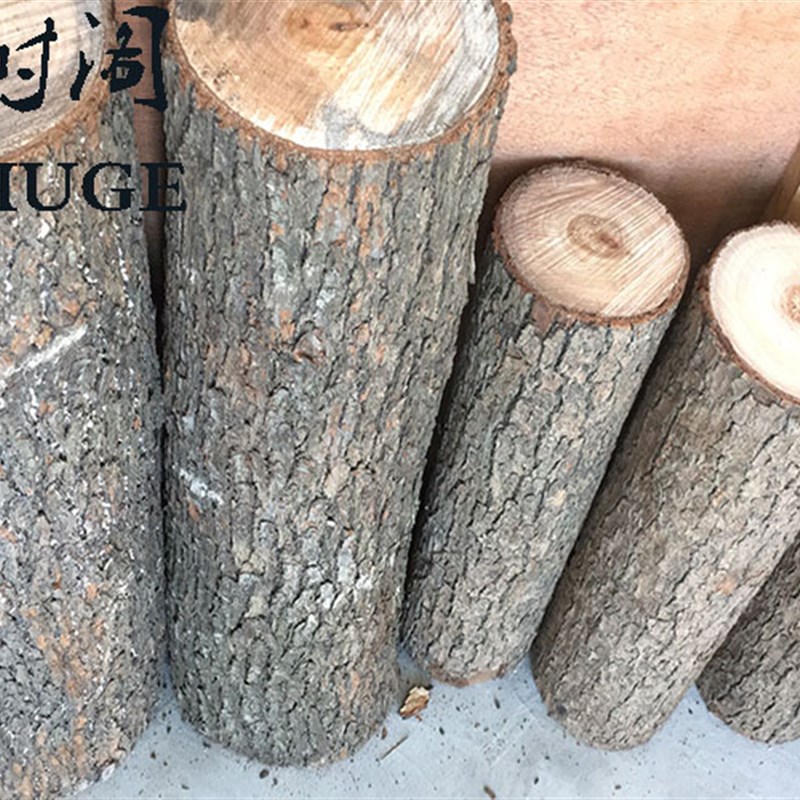 小木桩底座摆件树桩树干原木头杉树摄影拍照园艺木樟木墩装饰道具