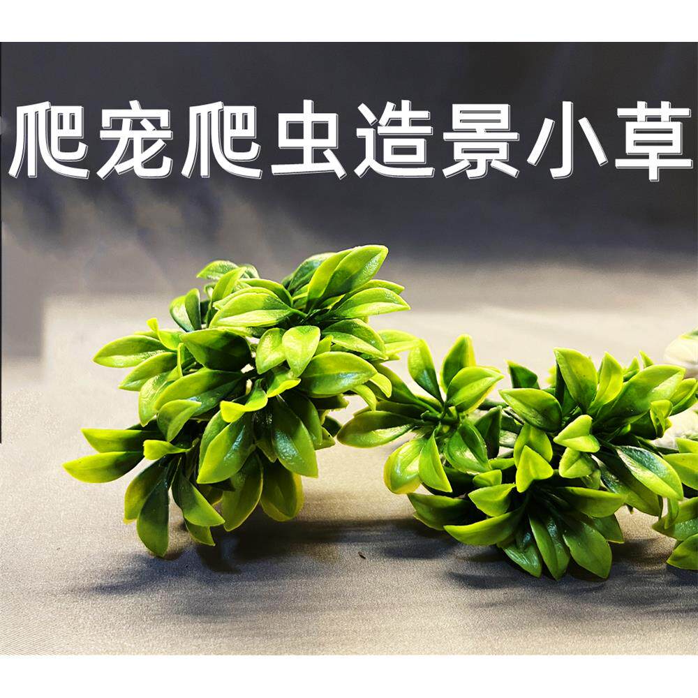 彷真水草迷你爬宠小草塑料植物花鱼缸龟缸水族箱装饰造景摆件布景