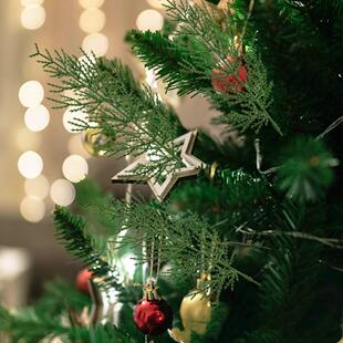 仿真三叉5叉诺贝松针圣诞花环装饰材料手工DIY圣诞树藤圈藤环装饰