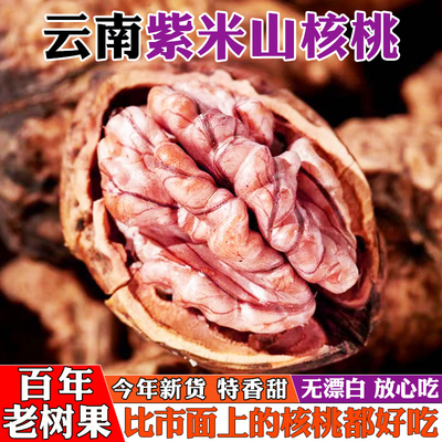 云南漾濞紫米核桃特产级尖嘴娘亲野生老树山核桃非红皮薄纸皮核桃