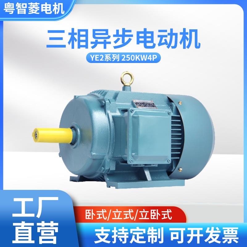 YE3250W4P(250千瓦4极)多型号交流电机工厂直供三相异步电动机