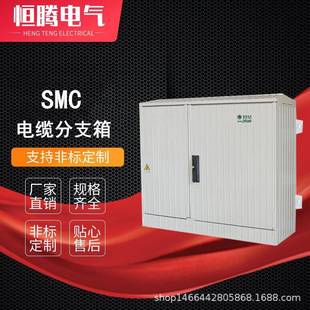 挂壁落地塑钢分接箱分接柜分路配电箱照明控制箱