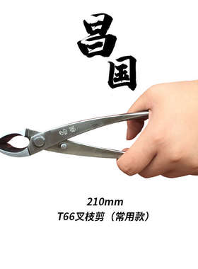 昌国不锈钢盆景工具套装叉枝剪球节剪破杆剪根切剪铝线剪球剪朱记