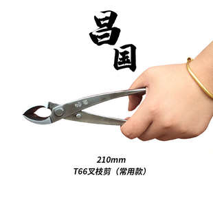 昌国不锈钢盆景工具套装叉枝剪球节剪破杆剪根切剪铝线剪球剪朱记