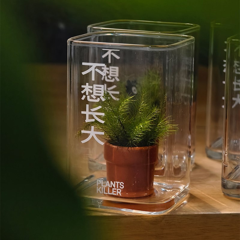 热销就是不想长大/拇指苔藓盆栽/植物杀手/微景观办公室桌面陪伴