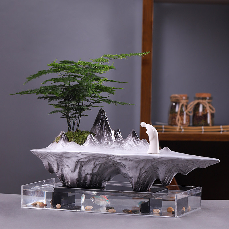 热销文竹盆景植物办公室内四季常青微景观绿植好养桌面摆件创意小