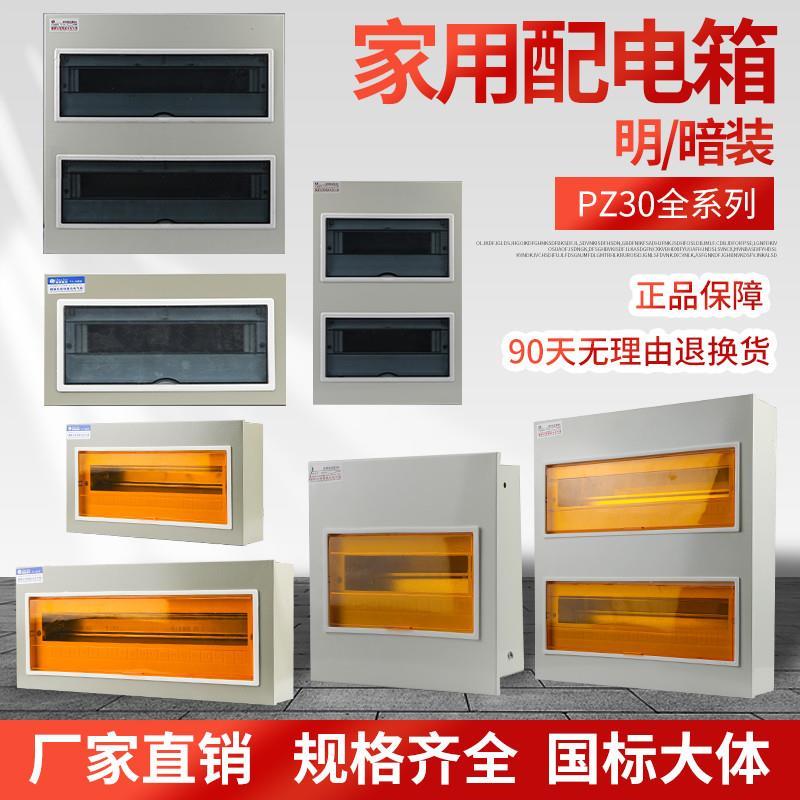 国标非标工程PZ30回路箱明装空开箱暗装强电箱大小工地开关配厂家