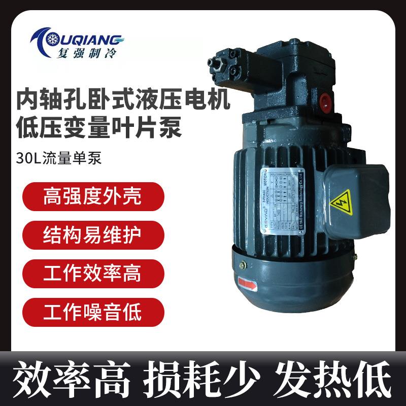 液压站双头油泵制冷电机组VP30+0.75KW内轴冷却耐用配件总成