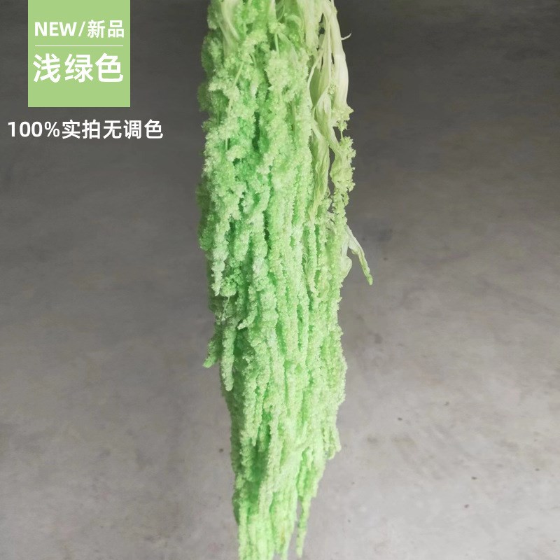 吊米永生花柔丽丝婚庆红美陈手捧花挂穗垂吊型线条花材干花