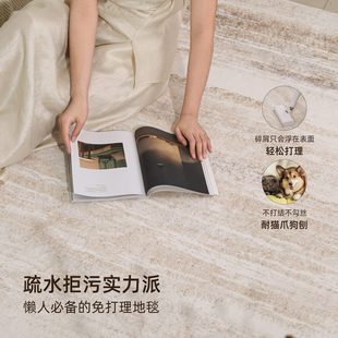 免洗可擦毛绒沙发地垫高级感防水防污加厚茶几毯 地毯客厅2025新款