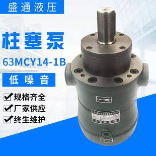 1B轴向高压柱塞泵厂家定量增压液压泵打桩机 63MCY14