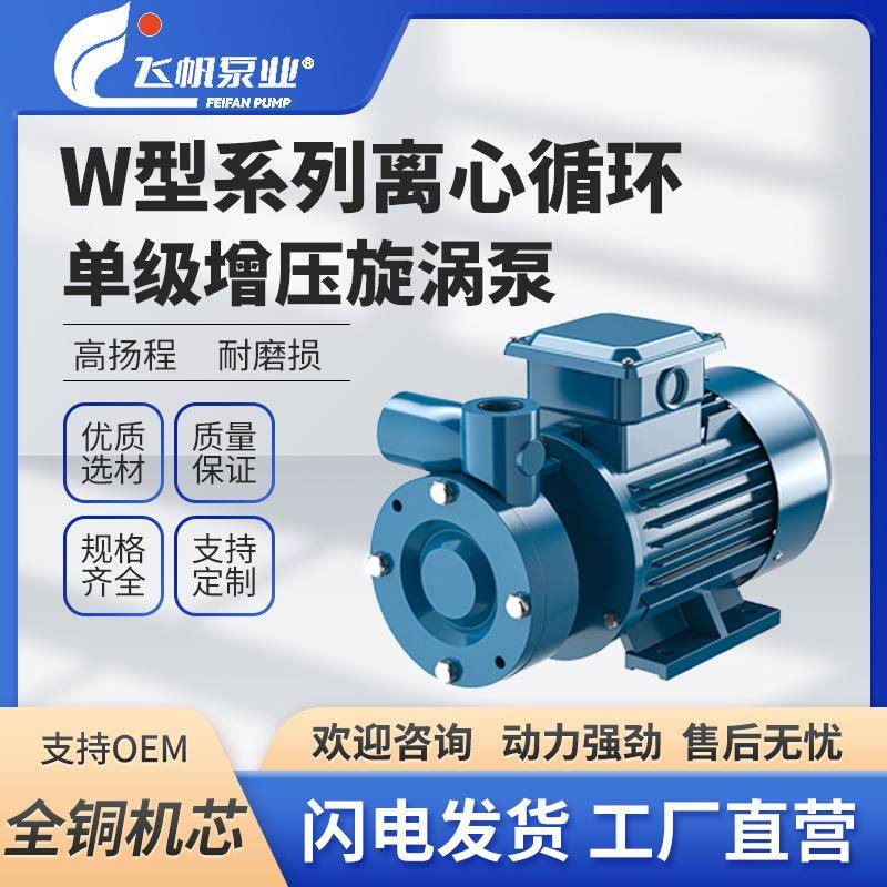 W型单级增压旋涡泵锅炉水高楼循环高扬程抽水卧式管道泵三相380V