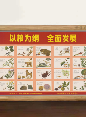 以粮为纲主题中草药图谱宣传画 红色文化复古文艺桌面摆件