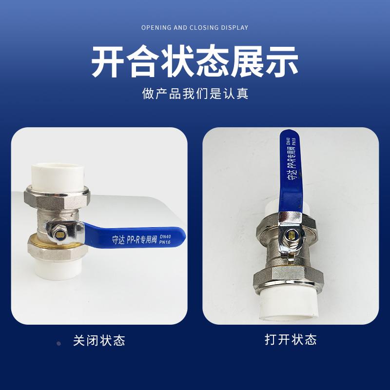 双活接球阀ppr铜阀门pe水管开关pert双热熔球阀pb4分6分1寸405063