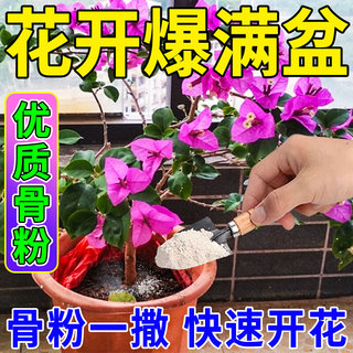 三角梅骨粉花肥料家用促花养花园艺脱脂骨粉高钙高磷高钾有机花肥