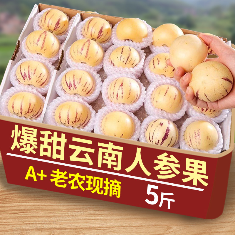 云南石林人参果10斤大果新鲜