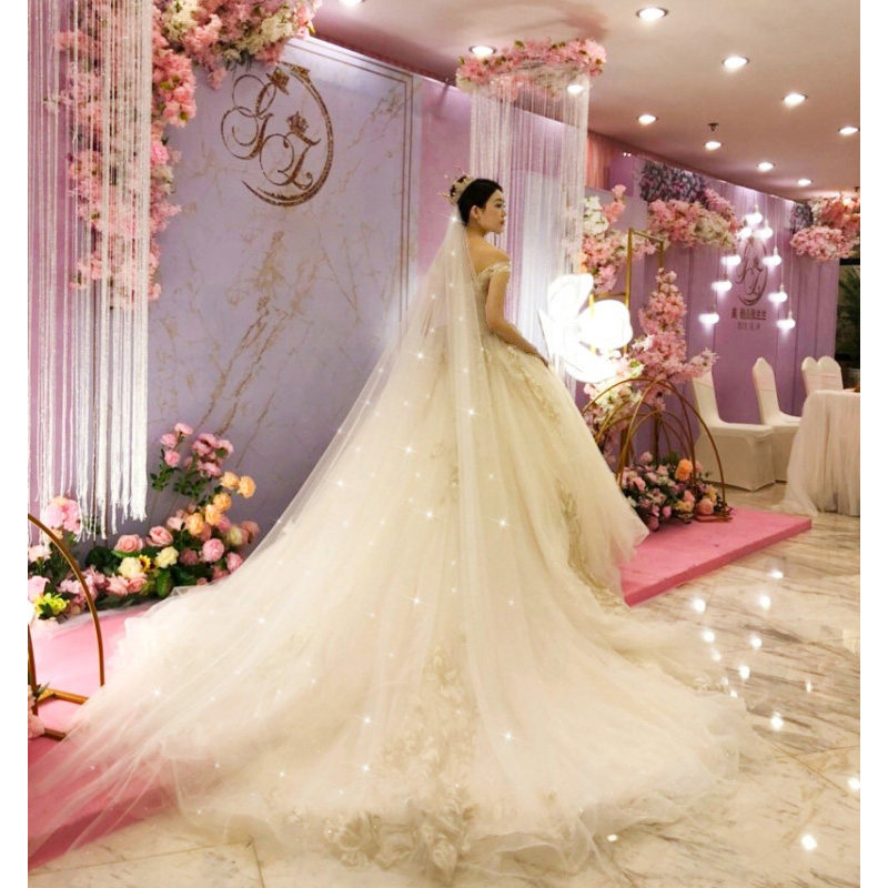 头纱新娘主婚纱星空头纱香槟色头纱超仙森系长款拖尾韩式结婚头纱