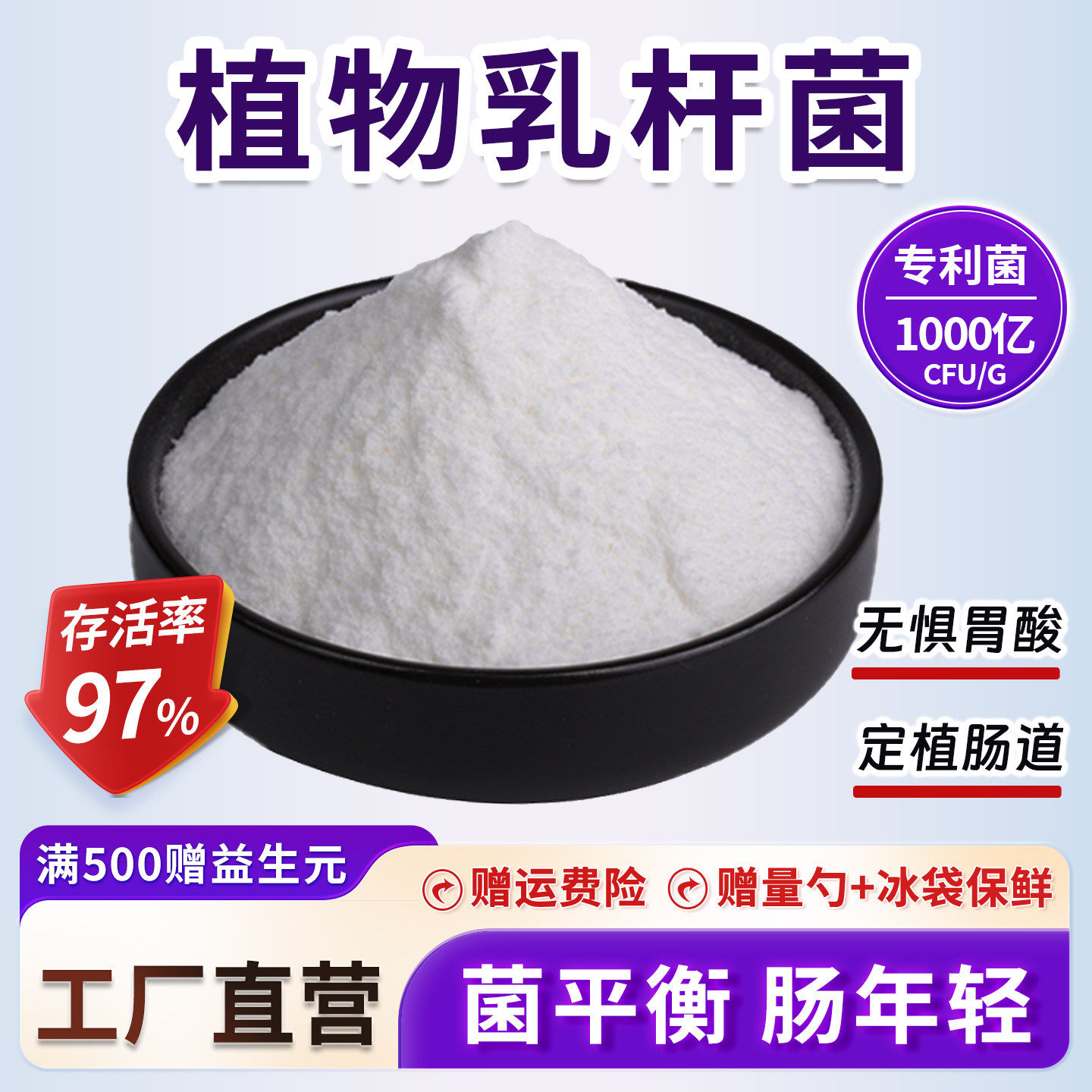 植物乳杆菌 活性益生菌冻干粉原料 成人速溶通用 食品级 厂家直发