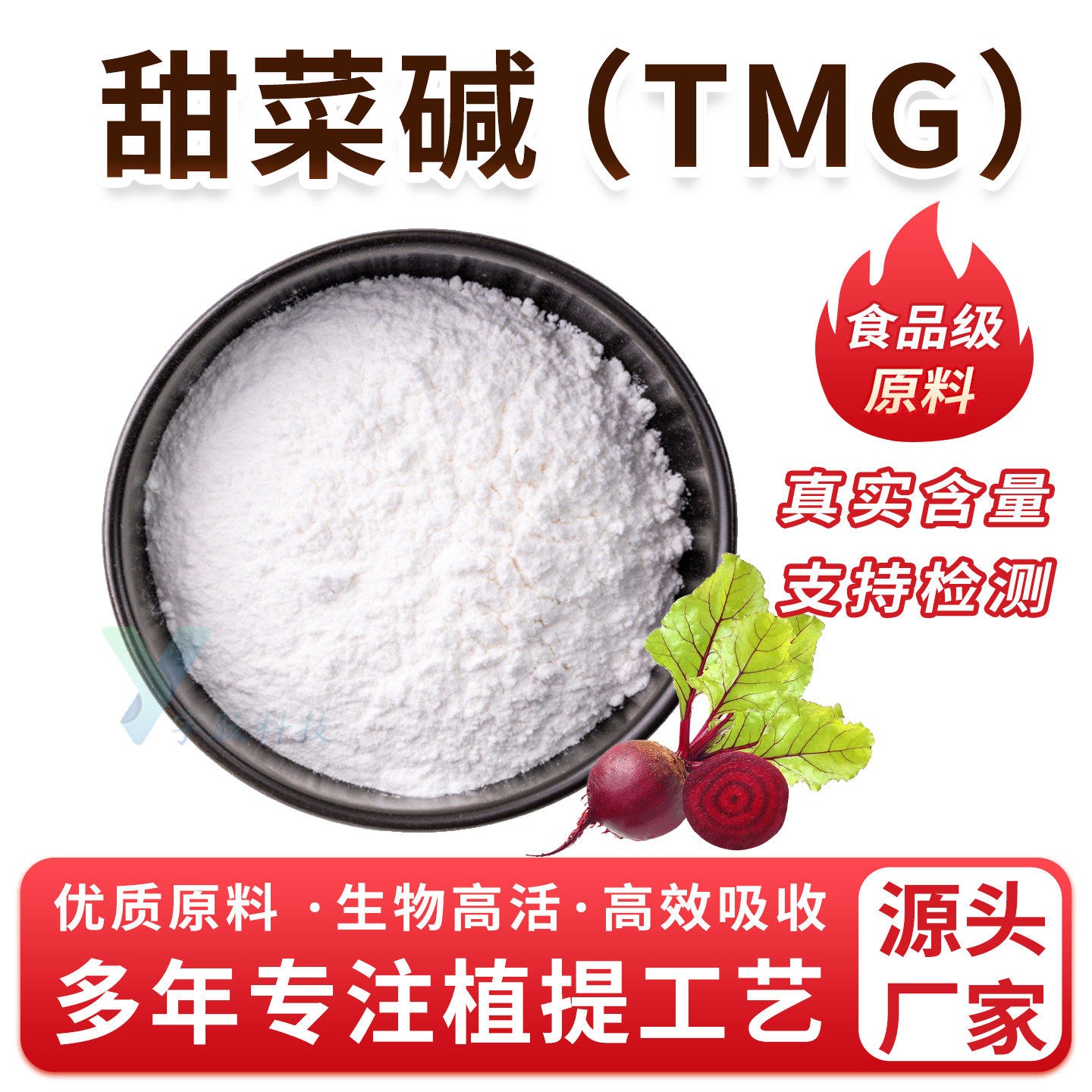 甜菜碱99% TMG甜菜根提取 食品级 三甲基甘氨酸 甜菜根粉厂家正品