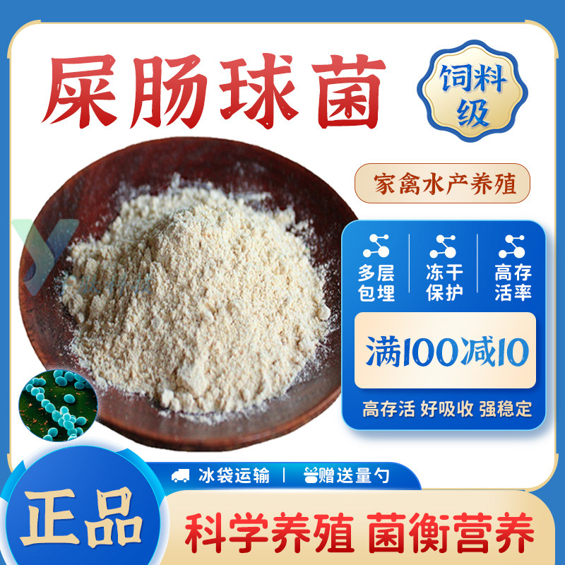 屎肠球菌 1000亿活性益生菌 家禽水产养殖专用 饲料添加剂 厂家发