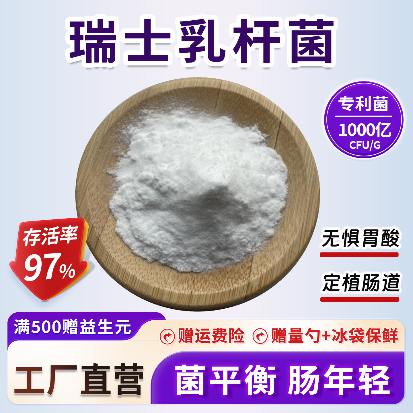瑞士乳杆菌 1000亿CFU/g厂家供应食品级乳酸菌粉冻干型益生菌原粉