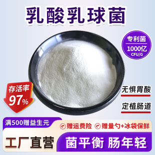 乳酸乳球菌 高活益生菌冻干粉 乳酸菌粉奶粉饮料食品级益生菌原料