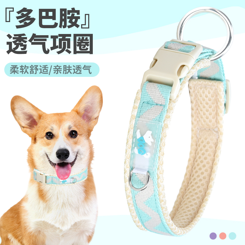 项圈牵引绳刻字防走丢