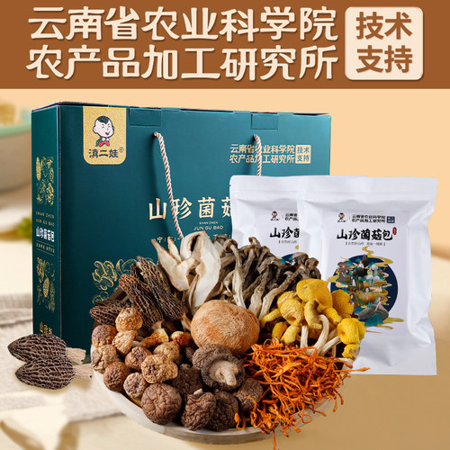 云南土特产山珍菌菇包农科院