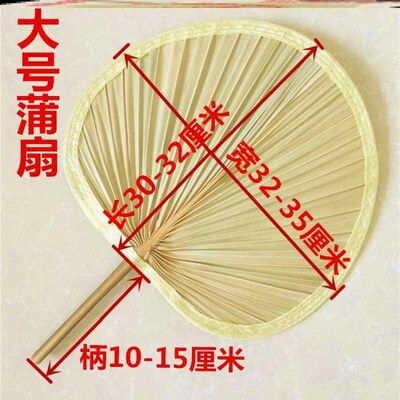 5ZW大蒲扇蒲草扇凉快驱蚊风普蒲浦铺扑埔莆扇舞蹈老式小号芭蕉扇