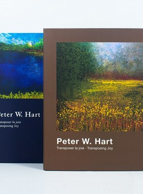 熙思装饰书艺术油画样板间饰品摆件书样板房茶几书房书柜真书装饰