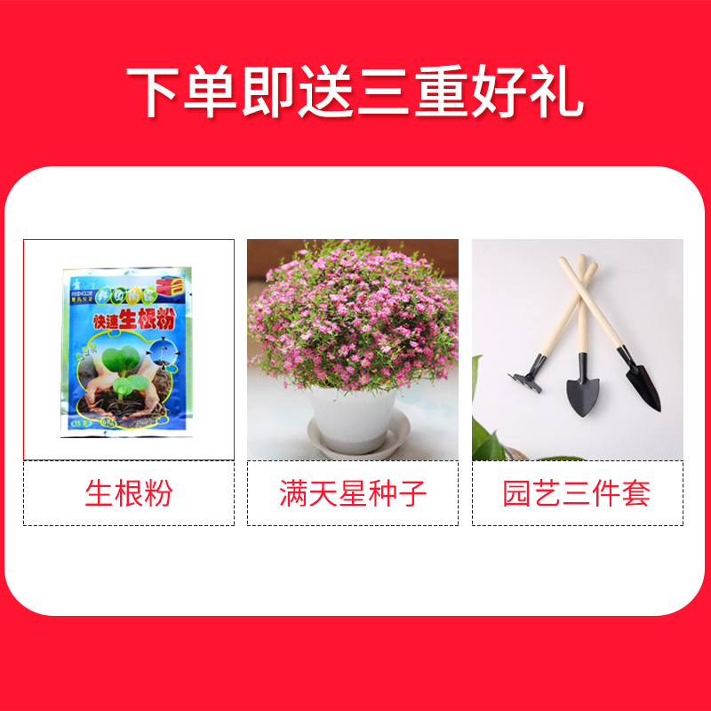 花架置物架阳台带轮落地式绿萝花架子室内客厅多层多肉架架摆花架