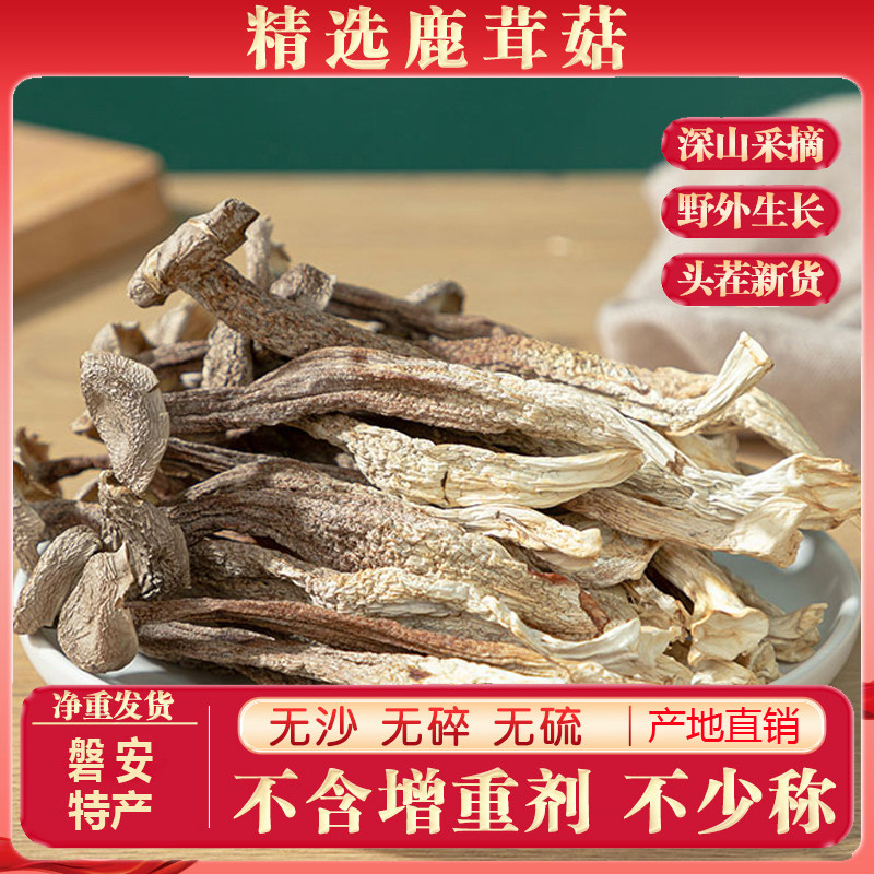 精选鹿茸菇干货野生菌菇深山采摘天然日晒磐安古田特产营养香菇