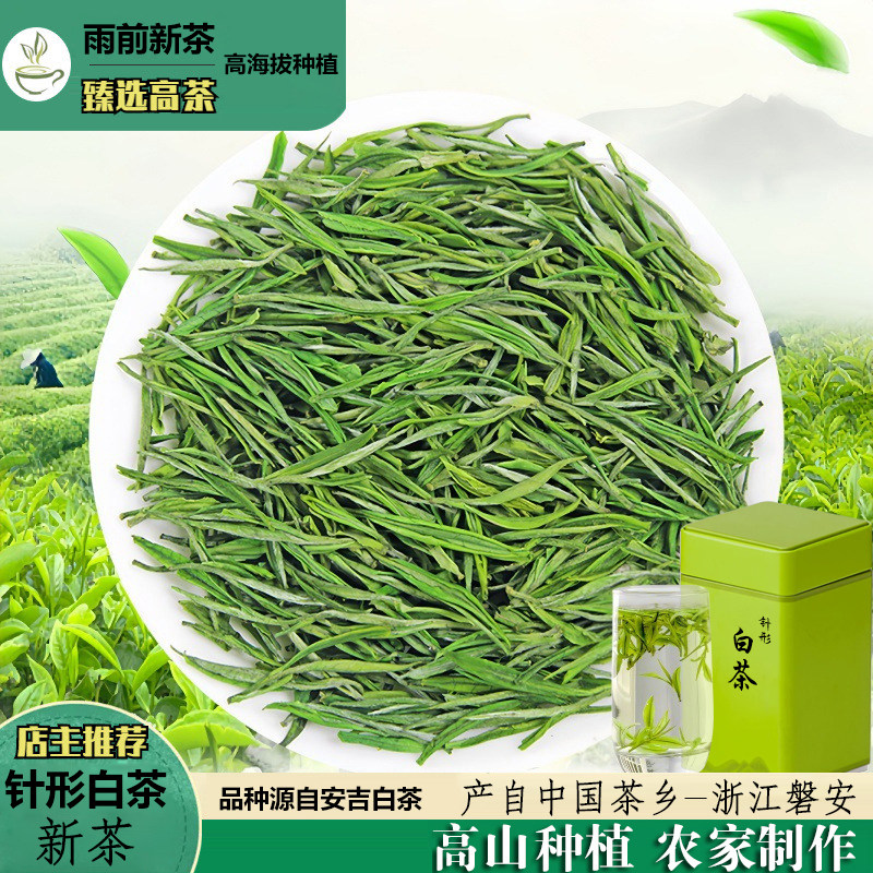 【雨前针形白茶】新茶春茶高山茶炒青绿茶浙江安吉磐安白茶叶明前