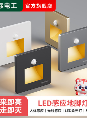 86型智能人体感应地脚灯嵌入式楼梯踏步感应灯家用过道LED小夜灯